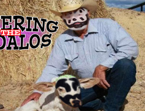 Episode 84 – “Gathering of the Bundalos”